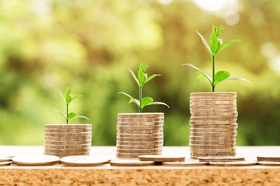 Credit Repair after Bankruptcy: Rebuilding your Finances